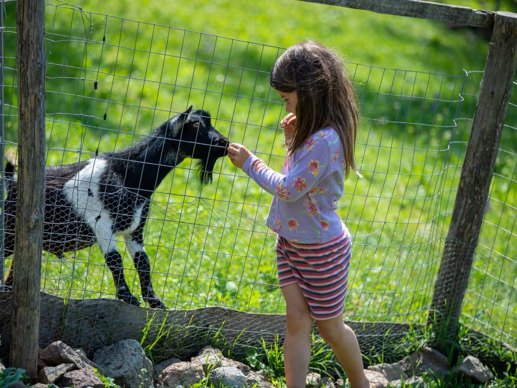 fotos_zuner_2019_by_michael_lintner_low_resolution_5d5_9521.jpg